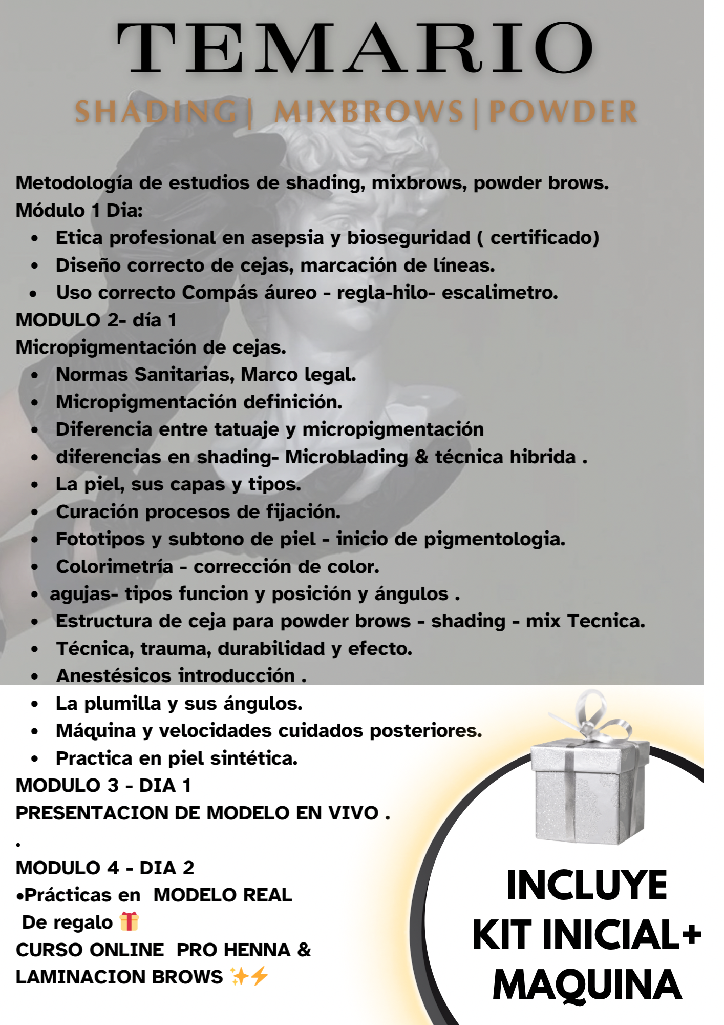 Curso 3 técnicas de micropigmentacion ✨